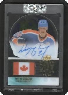 Gretzky Clear Cut Pride Auto /25, sold for $1,008.49